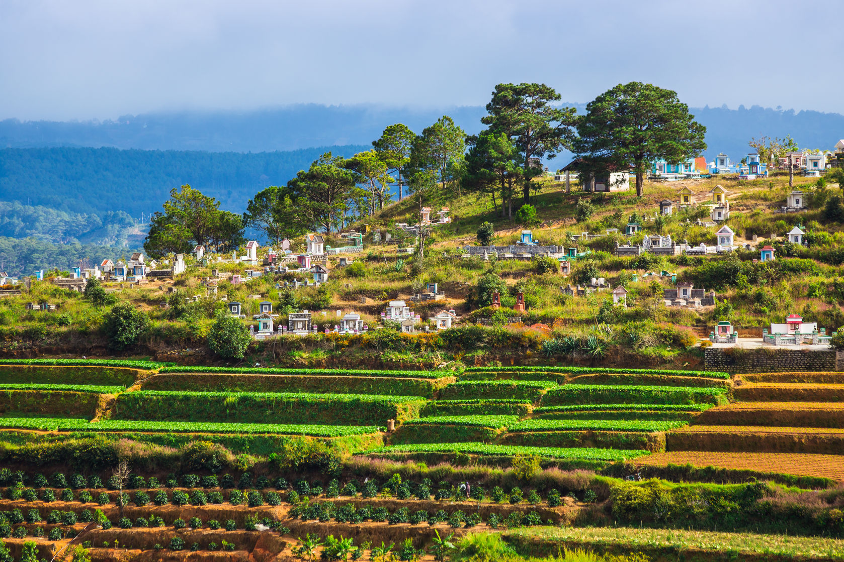 Vé máy bay giá rẻ đi Đà Lạt